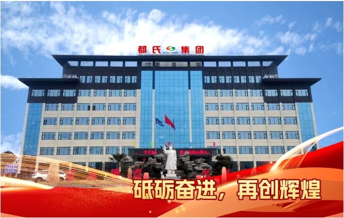 開好局 譜新篇——都氏集團聯(lián)盛電力二期項目順利投產(chǎn)